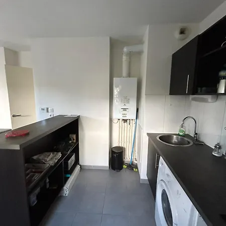 Apartment T2 Avec Jardin Aucamville